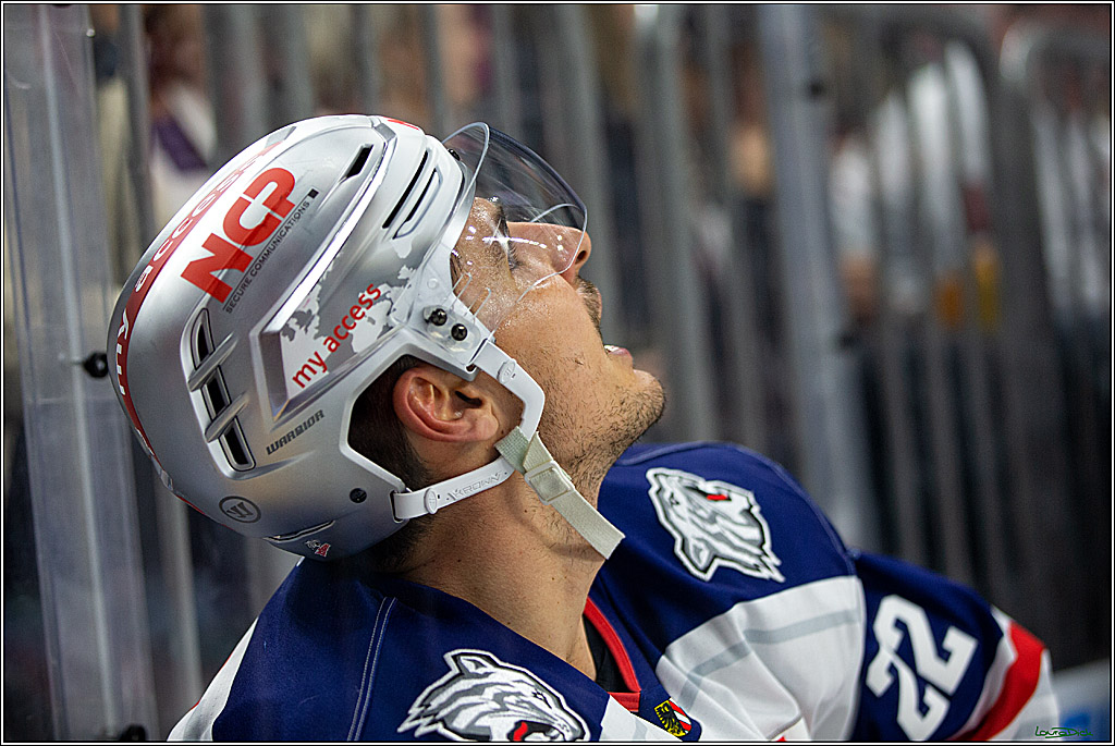 PENNY DEL; Koelner Haie- Nuernberger Ice Tigers; Koeln, 18.11.2022